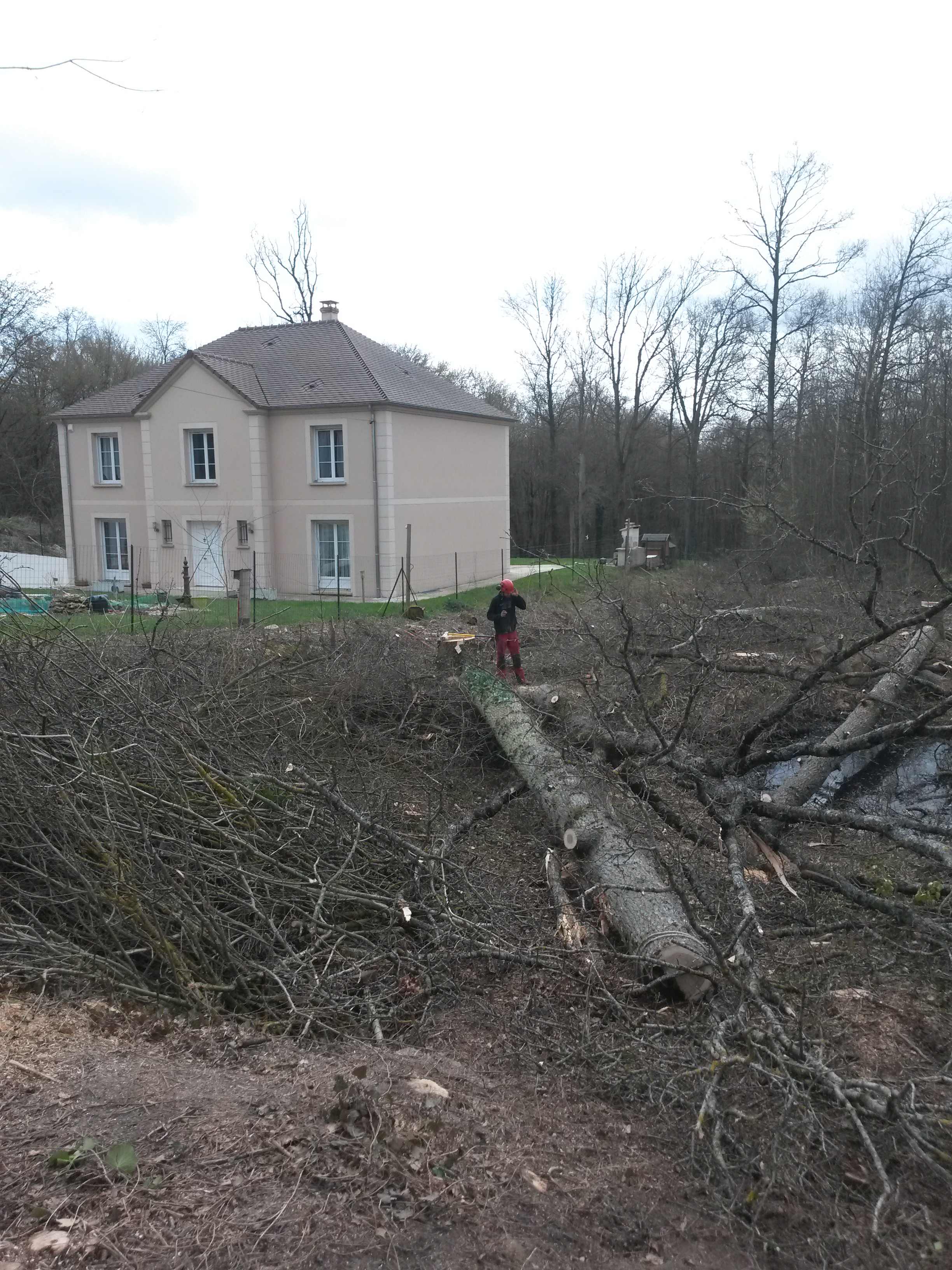 elagage abattage Mouroux 77120